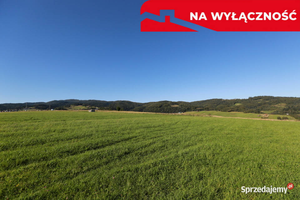 Działka w Grywałdzie 11003 ha warunki zabudowy Sprzedaż Sprzedaż Grywałd sprzedam