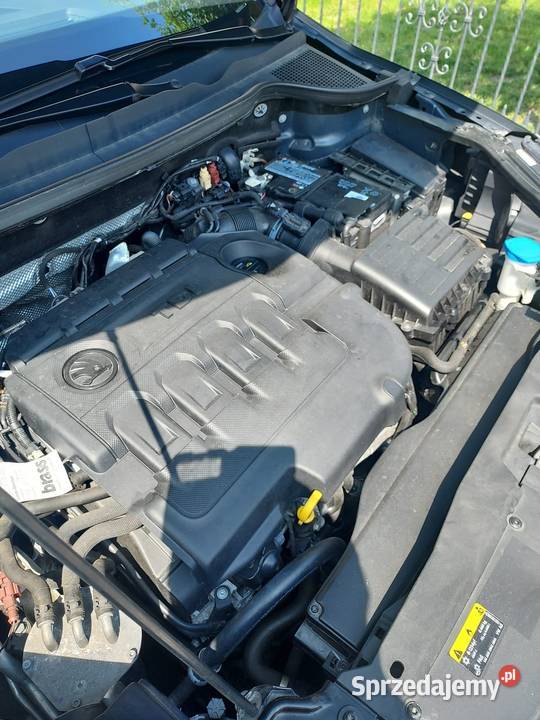 Skoda Karoq 16 TDI Manual Dach Panorama Wałcz sprzedam