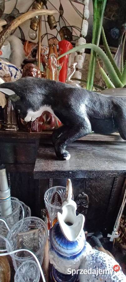 KOT 60 DLUGI twarda żywica poli twardy cięzki czarny Poznań