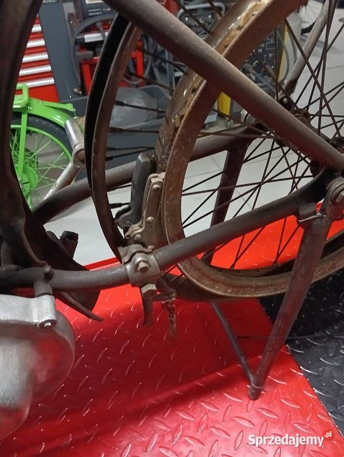 Sprzedam terrot l Pozostałe kujawsko-pomorskie Gostycyn