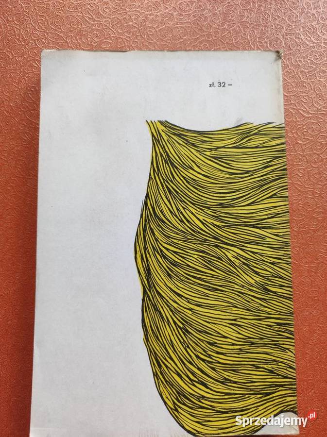 Dag córka Kasi L Seymour Turasiewicz ISBN 9788381390408 Proza i poezja Kielce sprzedam