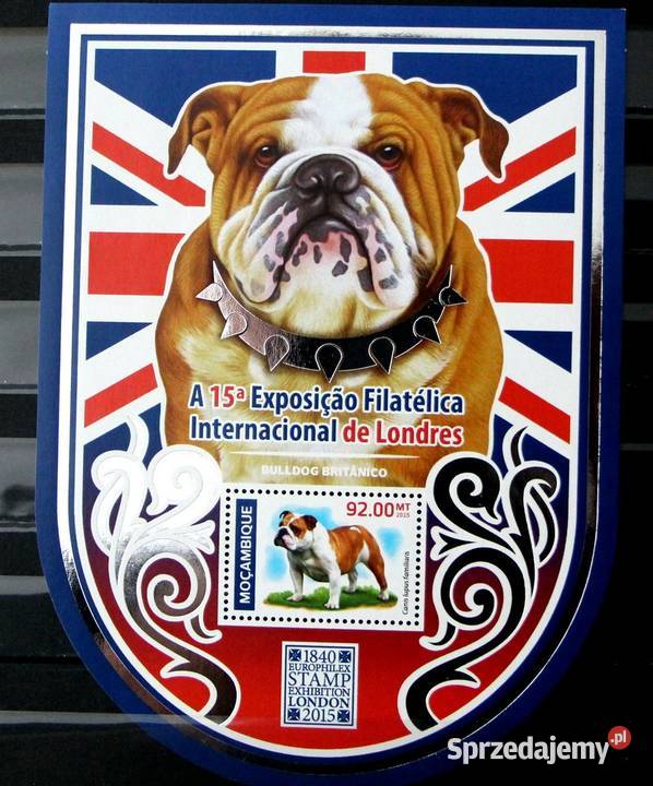 Mozambik pies Oborniki