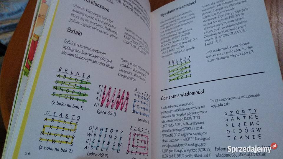 Podręcznik szpiega Falcon Travis il Colin King Gdańsk