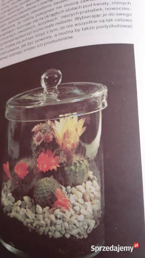 Mieszkamy wśród kwiatów zachodniopomorskie Szczecin