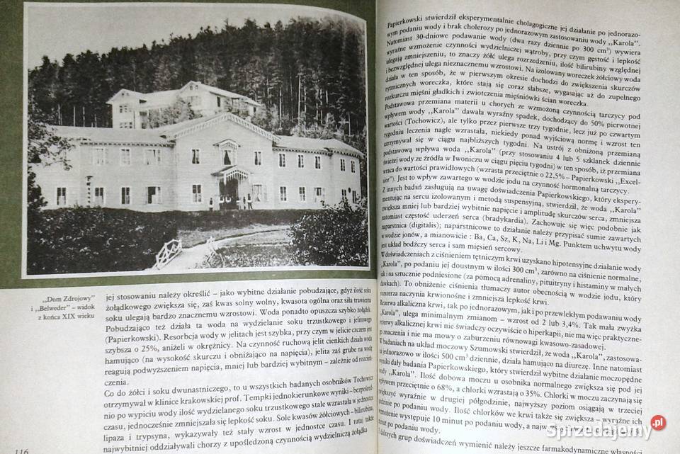 Iwonicz Zdrój Monografia E Sokołowksa J Cwanek i Chełm