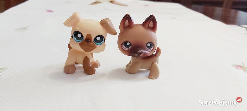 2 pieski Zestaw LPS i Hasbro Braniewo sprzedam