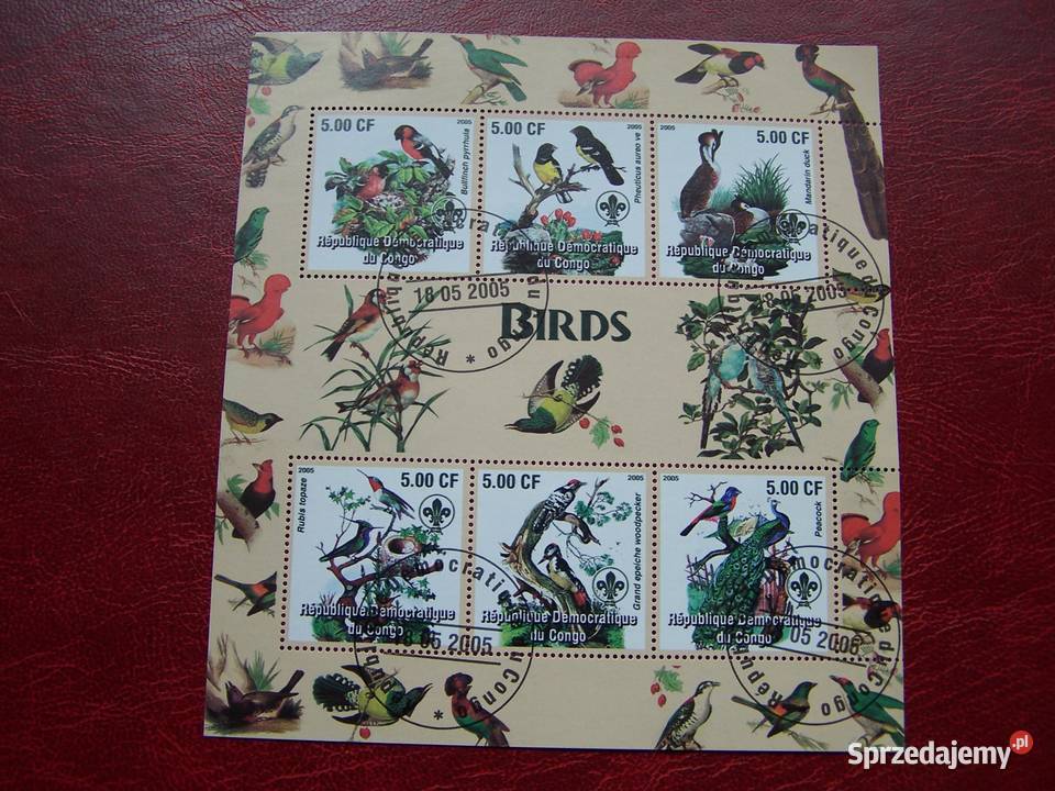 Kongo 2005 CTO Fauna Ptaki Afryki Tychy