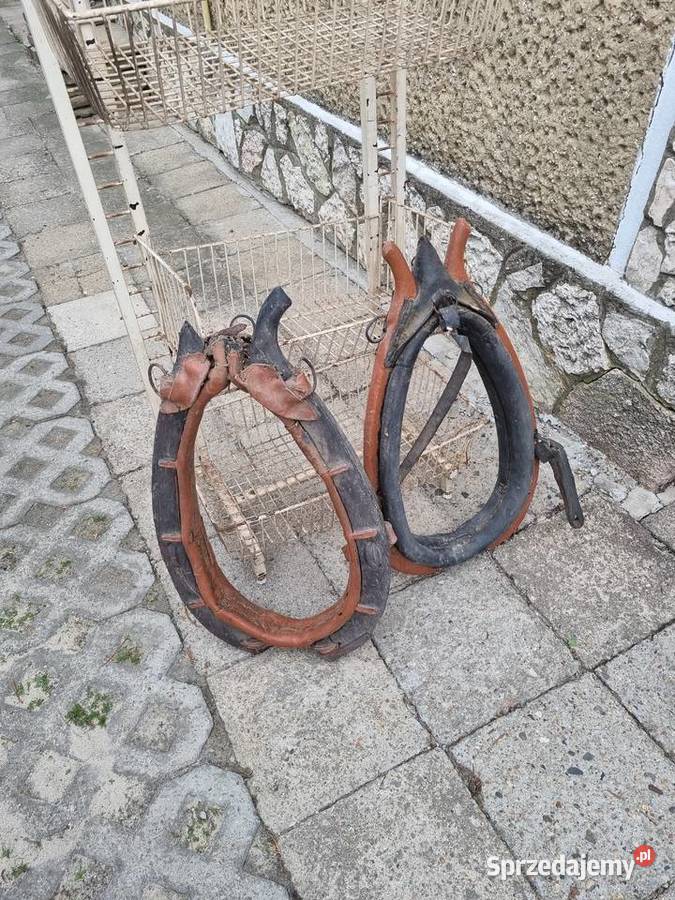 Homonto Pozostałe Mszczonów