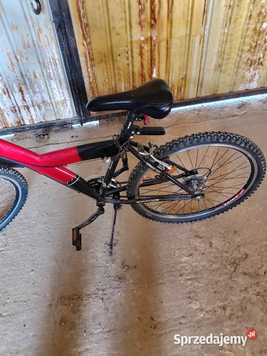 Rowery górskie Pokrzywnica