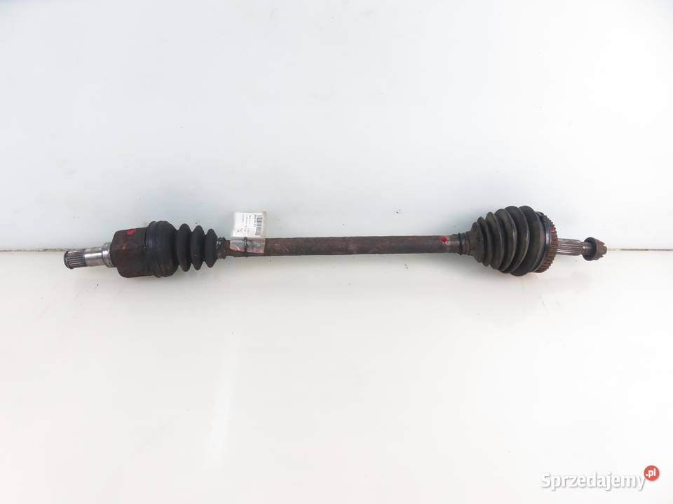 PÓŁOŚ LEWA TYLNA RENAULT SCENIC I FL 19 dCi RX4 osobowe małopolskie