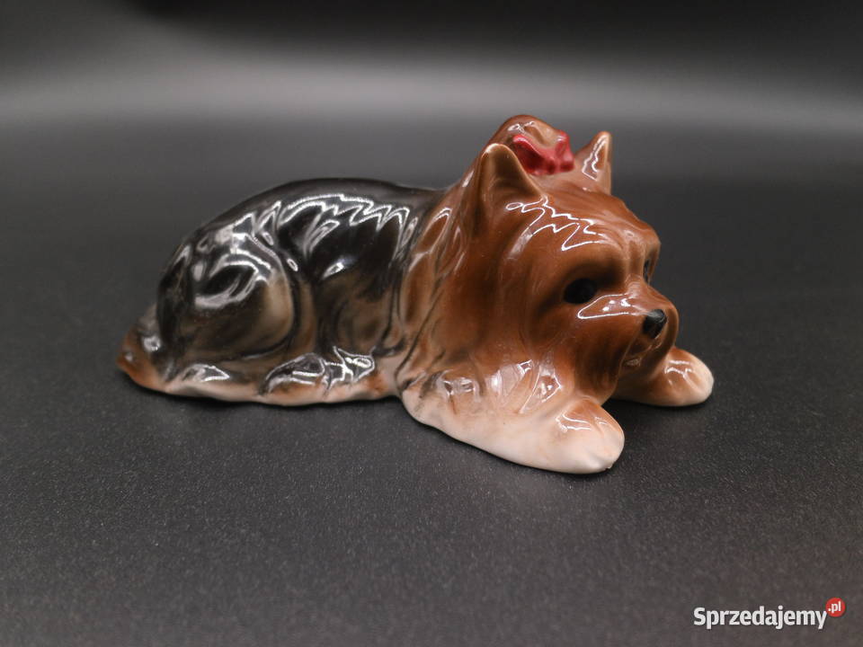 Piesek York figurka porcelanowa Bone China Raszków