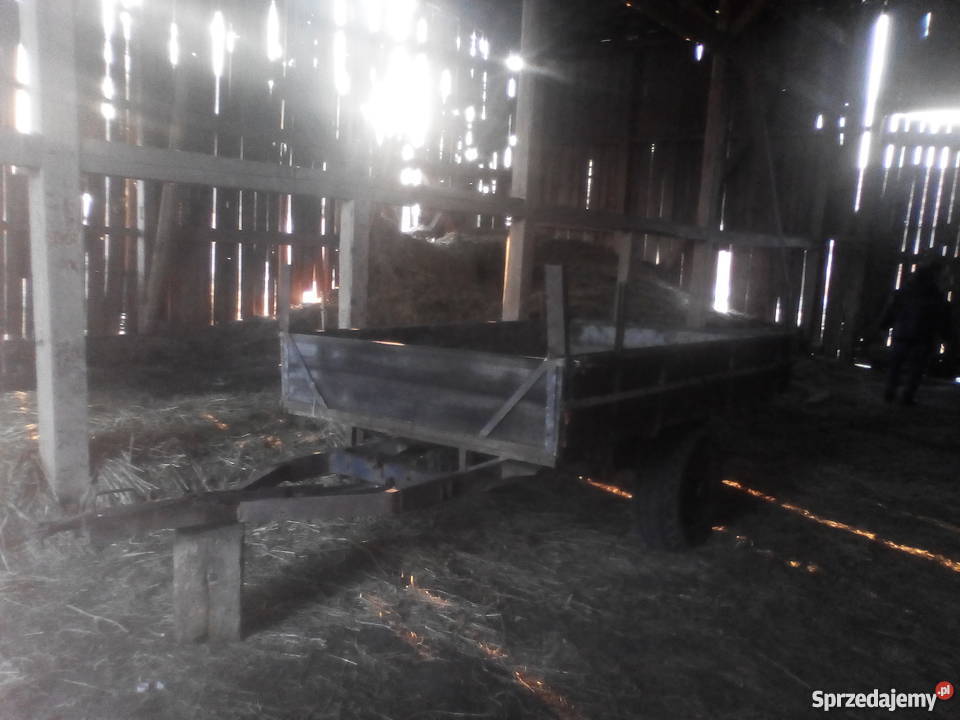 Przyczepa jedno osiowa