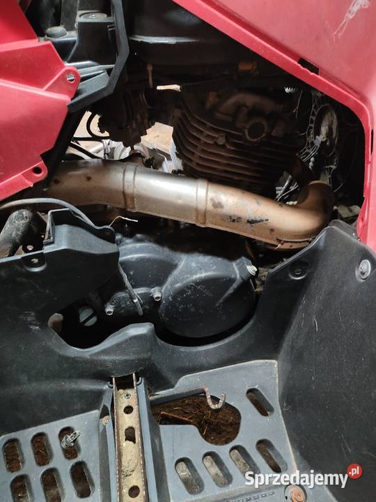 Alternator stator cewka Suzuki kingquad Eiger Cewki zapłonowe Wiele