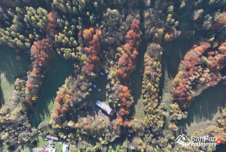 Grunt Ustrzyki Dolne 59535m2 59535m2 Sprzedaż