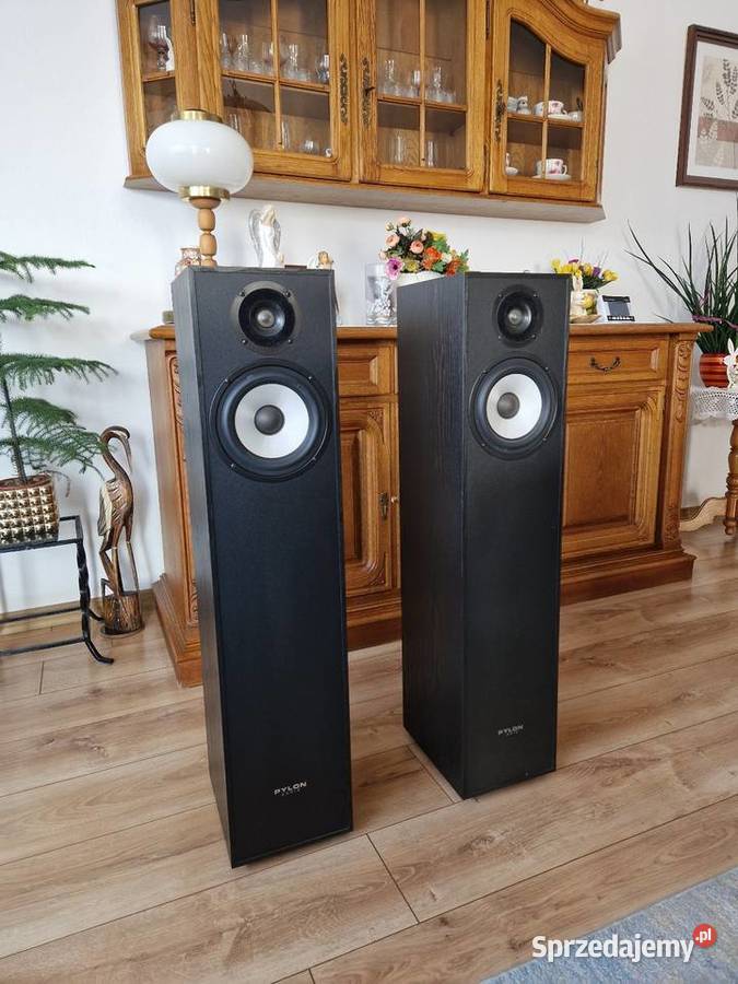 Kolumny Pylon Pearl 20 Para lubelskie Ryki