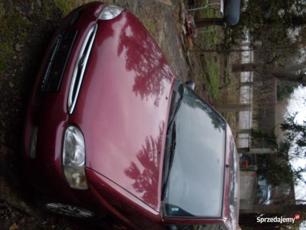 Ford Escort elektryczne lusterka Strzelin sprzedam