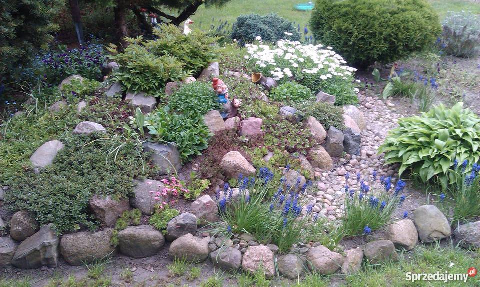 ogródek działkowy 300m2 Koziegłowy