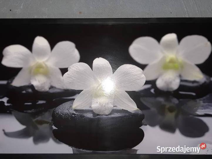 Obraz kwiaty 50x100 wysylka Słupca sprzedam