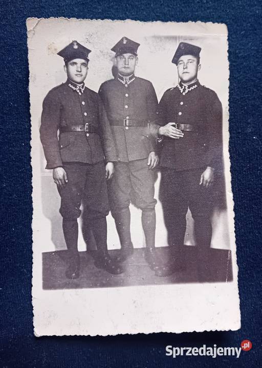Stara fotografia żolnierze Wojska Polskiego lata Pozostałe Koźminek sprzedam