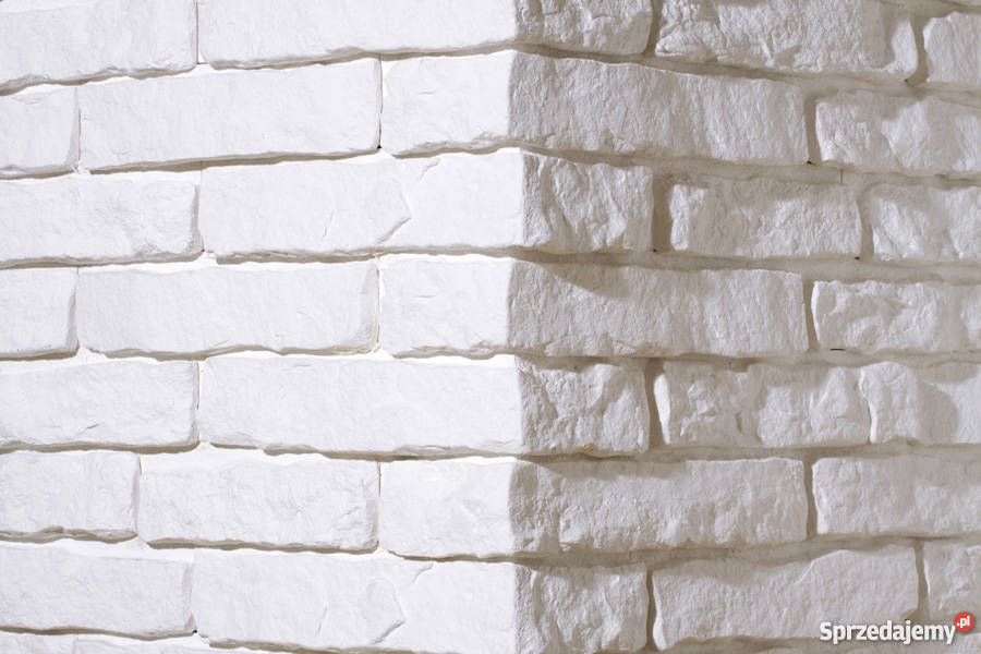 GIPS EKSTRA BIAŁY MODELOWYCERAMICZNY NOWY LĄD Katowice