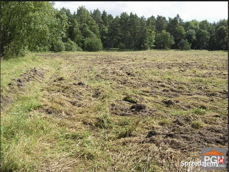 Grunt 3000m2 Gryfice utwardzona