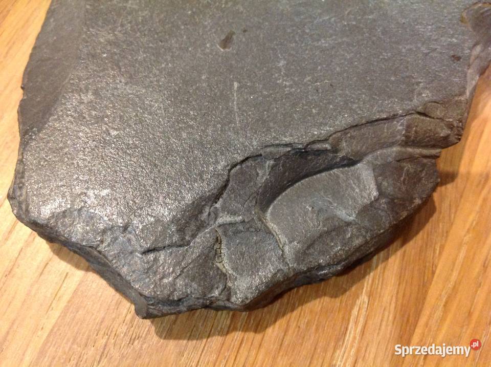 Stara Skamielina lubuskie Nowa Sól sprzedam