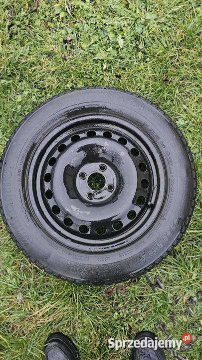 Koła zimowe renault scenic 2056016 Mielec