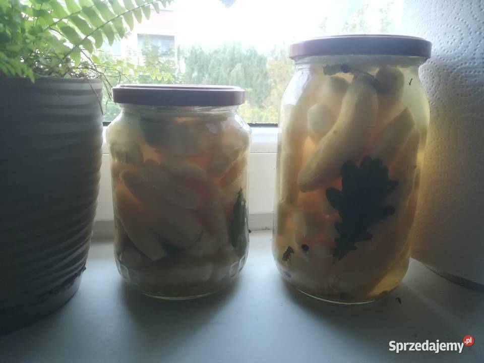 Sprzedam topinambur naturalny podlaskie Ozierany Małe