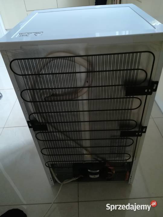 Lodówka chłodziarka BEKO TS190320 prawie nowa wielkopolskie Sady