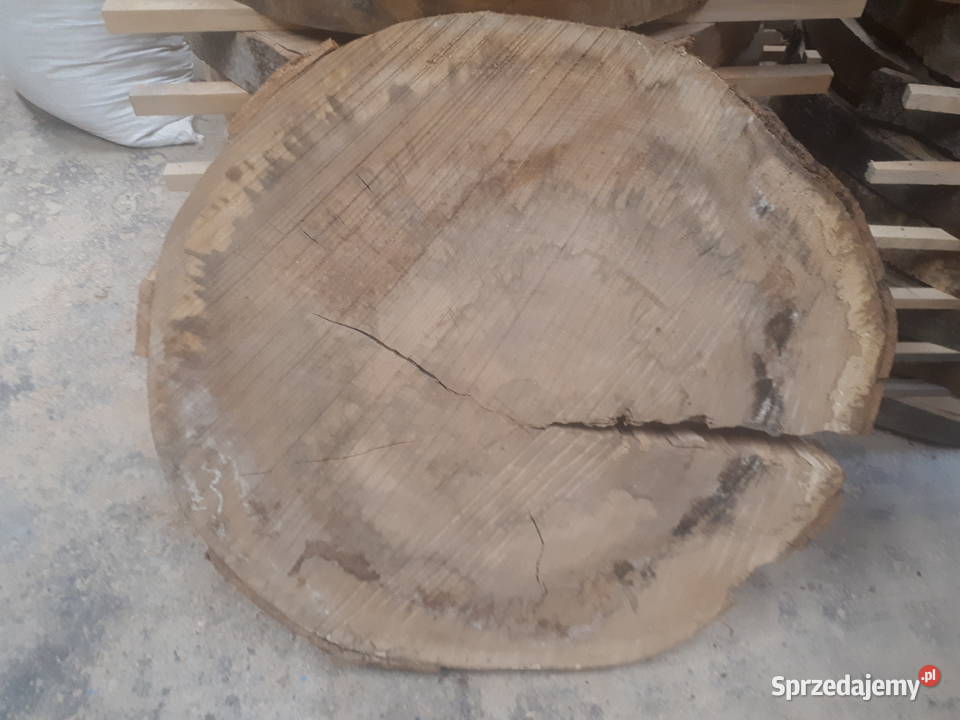 Suche Plastry Drewna Zagrzybiony Buk 85 Radomsko