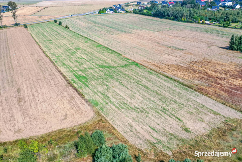 sprzedaży gruntu 9632m2 Łebcz Dr Augusta