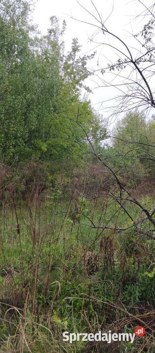 Sprzedam działkę 30 ar 300zł/m2 Balice
