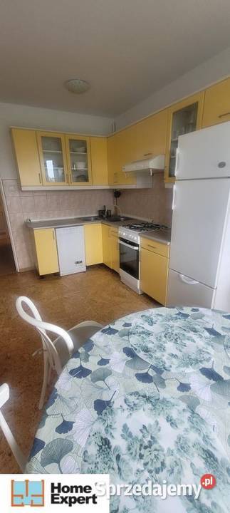 2pok 58met Gajowej 1997 WINDA ROZKŁAD BALKON Sprzedaż Wrocław