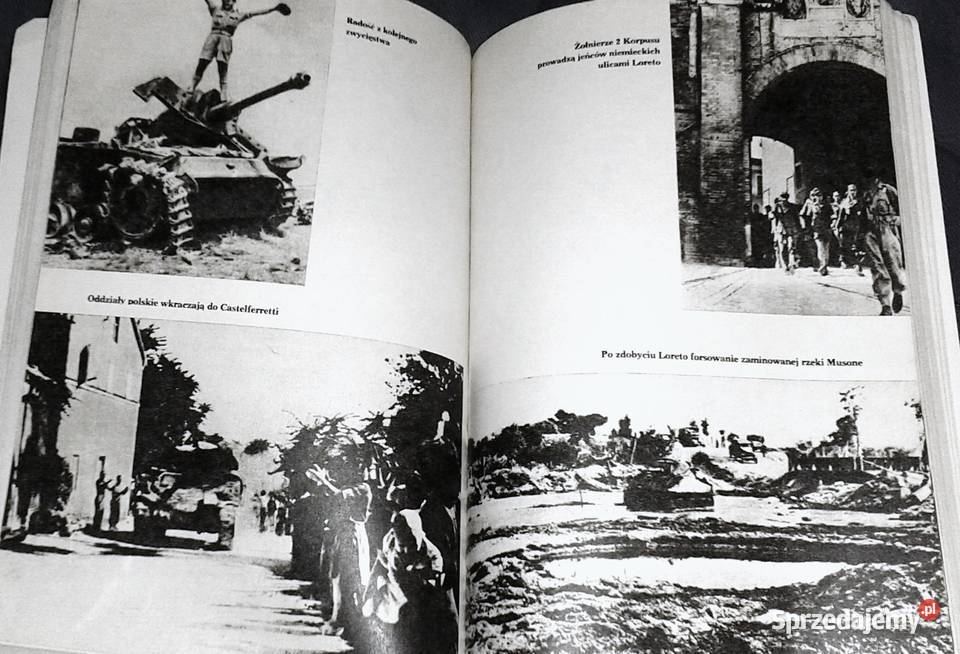 Ankona Witold Biegański Chełm