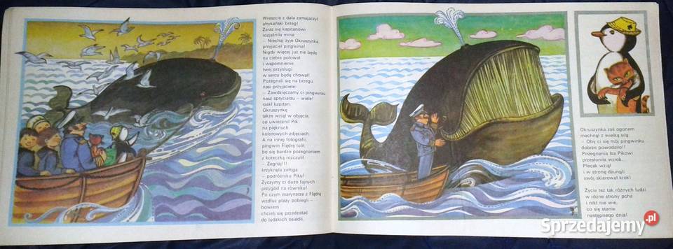 Pingwin wyrusza w świat spod bieguna Korewicka