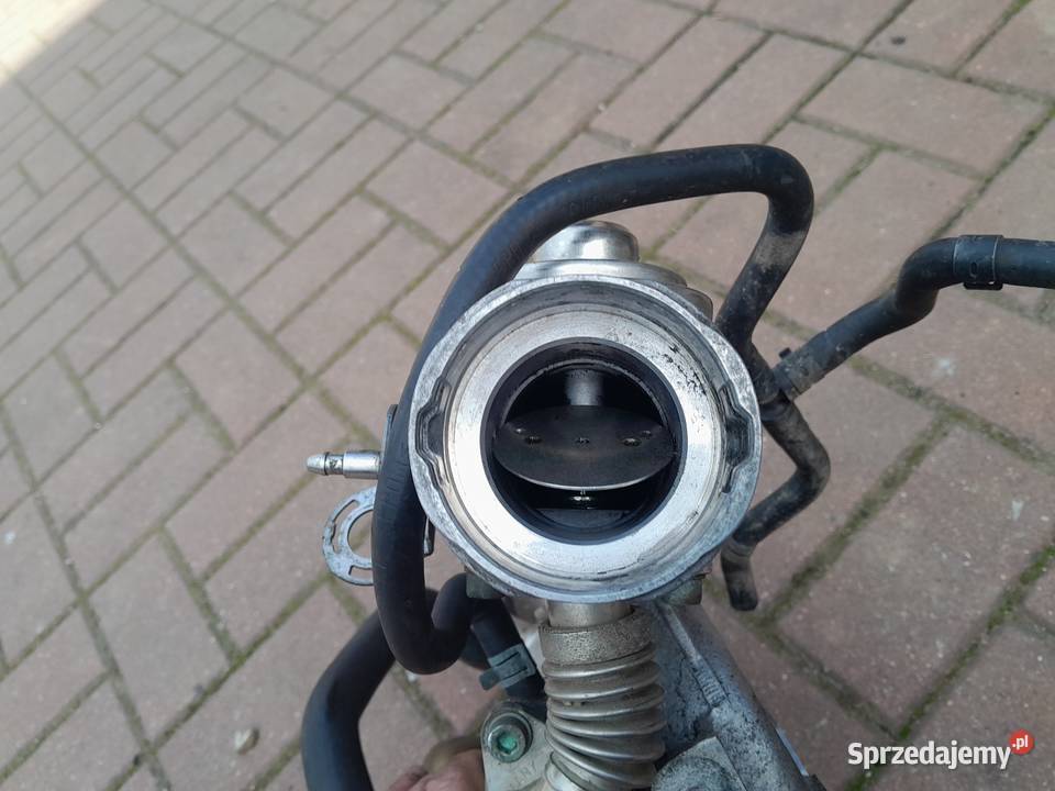 Sprzedam zawor egr z chlodnica i kolektorem seat