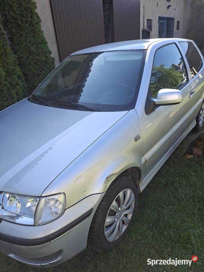 VW Polo Uniejów