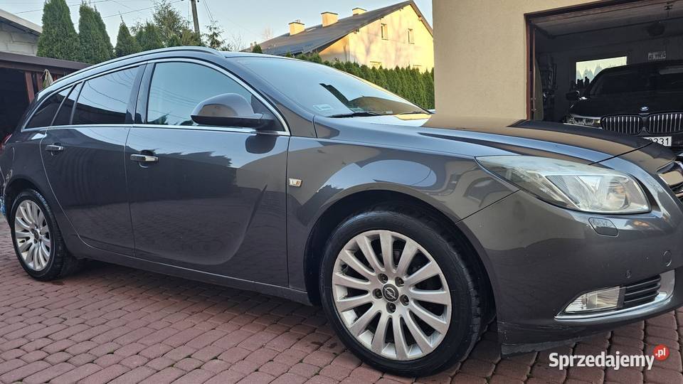 Opel Insignia 20 CDTI 130 2009 Xenon Zarszyn