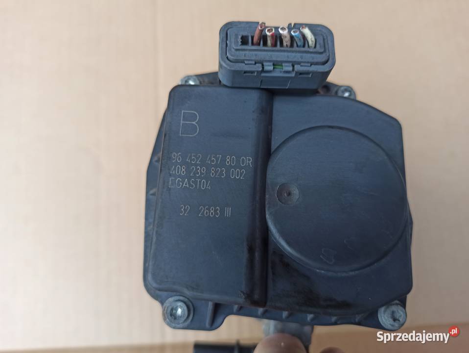 Peugeot 307 407 607 Citroen C4 C5 C8 807 Bolesławiec sprzedam