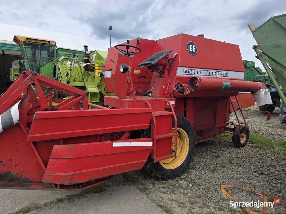 Kombajn zbożowy Massey Ferguson 186 z Niemiec Domaradz