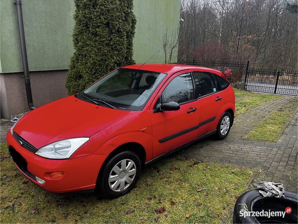 Krajowe Nowości w jednej Rodzinie śląskie Gródków