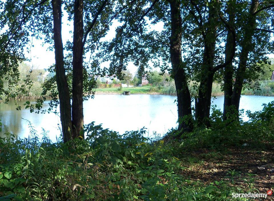 Sprzedam działkę ze stawem dom asfalt Skierniewice