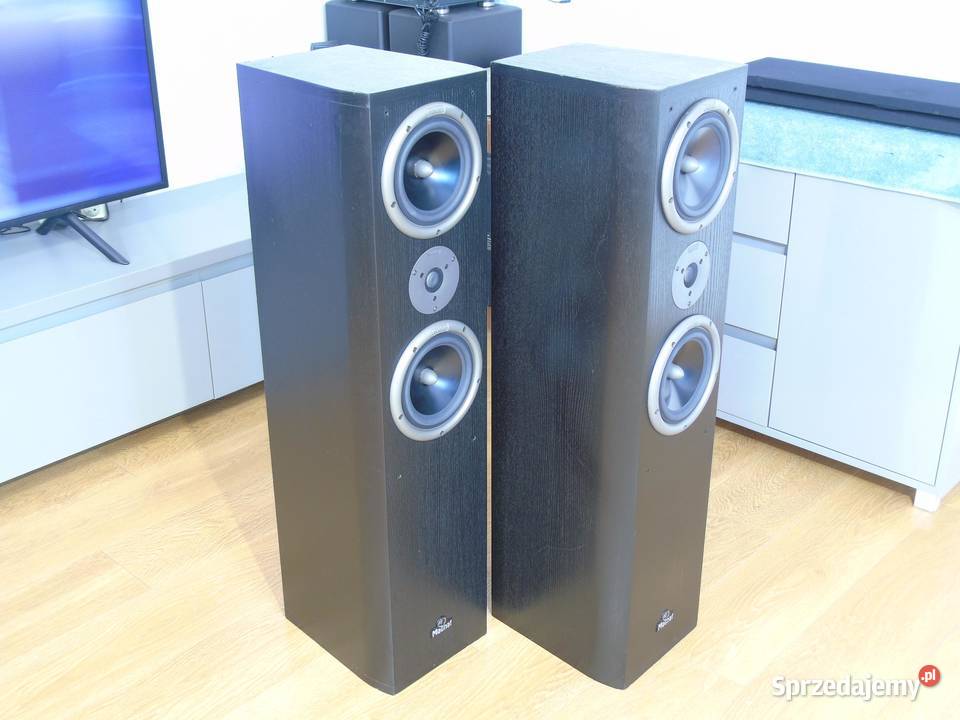 Kolumny Magnat Magnum 05 sprawne 2 x 320 wat podkarpackie Jasło