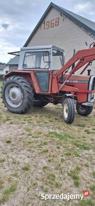 Massey ferguson 590 Massey Ferguson Mieczyn