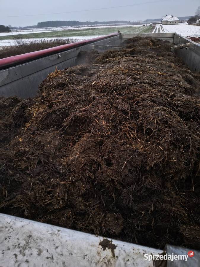 Sprzedam obornik z Transportem Nawozy i ŚOR świętokrzyskie Pacanów