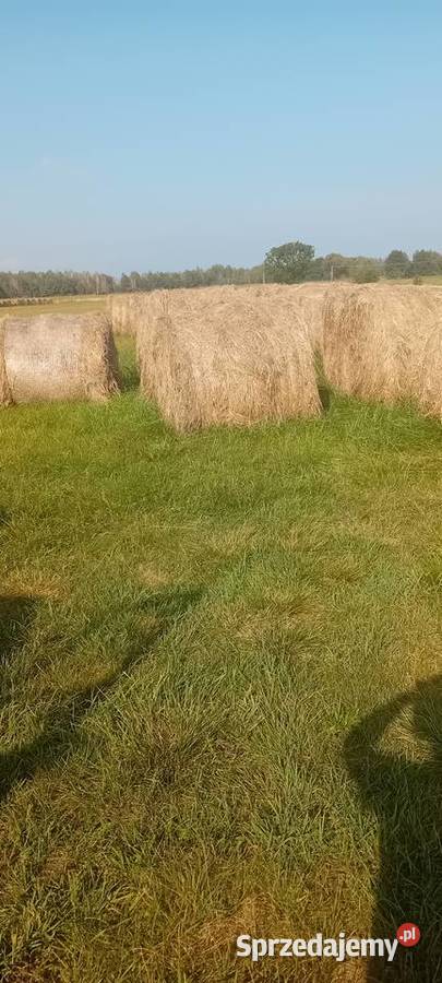 Sprzedam słomę Hańsk-Kolonia