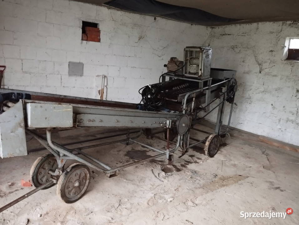 Sortownik do ziemniaków Puck