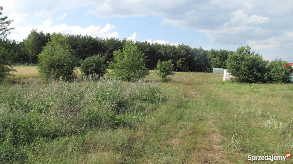 Działka na sprzedaż Węglew Kolonia Węglew
