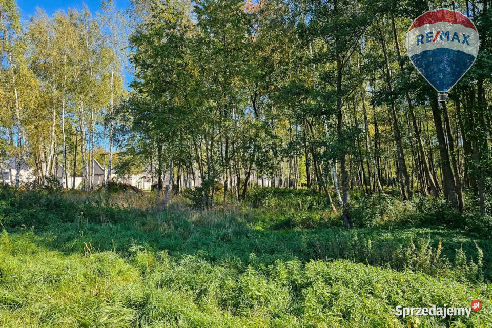 Działka budowlana 2494m2 z lasem rzeczką mazowieckie Musuły sprzedam