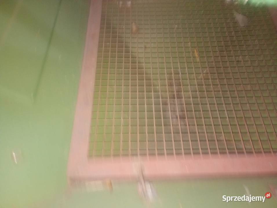 Rozsiewacz do nawozu świętokrzyskie Ślęcin sprzedam